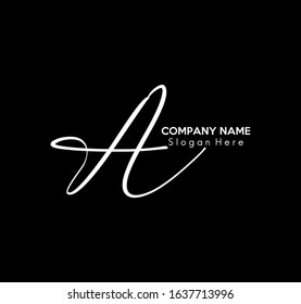 Vector Graphic Logo Calligraphy Style Your Stock Vector (Royalty Free ...