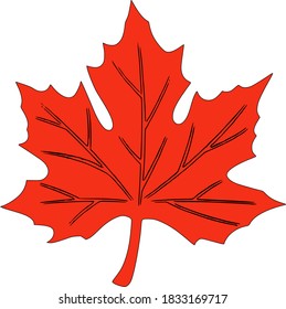 Vector graphic of a maple leaf in orange color