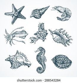 Vector graphic Marine set. Vector illustration. Illustration for greeting cards, invitations, and other printing and web projects.