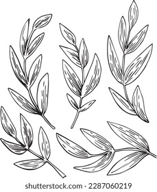 Vector graphic monochrome floristic base with leaves. Spring contour collection for weddings, birthdays. Image for textiles, design, scrapbooking, invitations