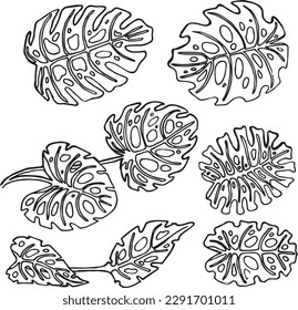 Vektorgrafik monochrome floristische Kollektion mit Hauspflanzenmonster. Geboren für Hochzeiten, Geburtstage. Bild für Textilien, Design, Scrapbooking, Einladungen