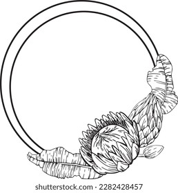 Vector graphic monochrome oval frame with sheets of domestic plants and exotic, protea bud. Spring Floristic Collection for Weddings, Birthdays. Image for textiles, chancery, design, scrapbooking