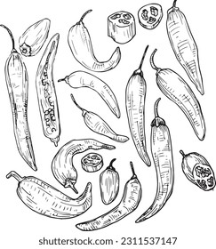 Vector graphic monochrome set with chili pepper is an ingredient in national cuisines. National Mexican, Southern Cuisine Contour Collection. Image for textiles, scrapbooking, restaurant menu