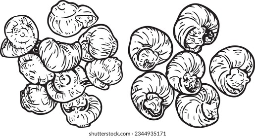Vector graphic monochrome set with French grape snails. National European, French cuisine Contour Collection. Image for textiles, scrapbooking, restaurant