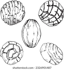 Vector graphic monochrome set pan dulce - an ingredient in national cuisines. National Mexican, Southern Cuisine Contour Collection. Image for textiles, scrapbooking