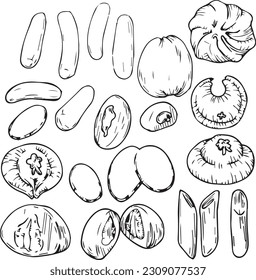 Vector graphic monochrome set with tteok - an ingredient in national cuisines. National Asian, Italian  Kitchen Contour Collection. Image for textiles, scrapbooking, restaurant menus