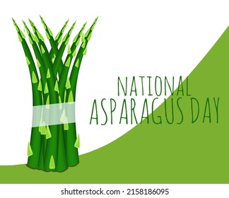 vector graphic of national asparagus day good for national asparagus day celebration. flat design. flyer design.flat illustration.