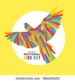 vector graphic of national bird day good for national bird day celebration. flat design. flyer design.flat illustration.