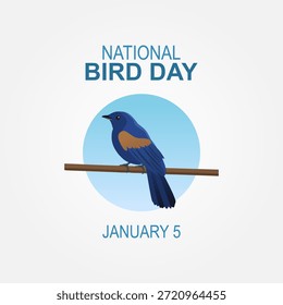 Vector gráfico del Día Nacional de las Aves ideal para la celebración del Día Nacional de las Aves