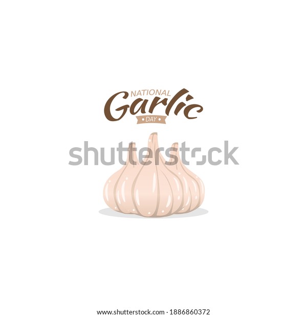 Vector Graphic National Garlic Day Good Stock Vector (Royalty Free ...