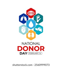 Vector graphic of on the theme of National Organ Donor day observed each year on February 14th. Organ, eye and tissue donation. Banner poster, flyer and background design template. Vector illustration