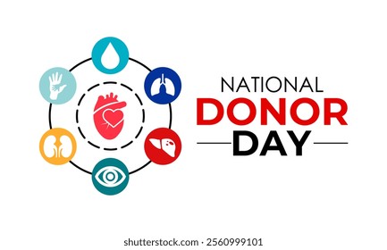 Vector graphic of on the theme of National Organ Donor day observed each year on February 14th. Organ, eye and tissue donation. Banner poster, flyer and background design template. Vector illustration