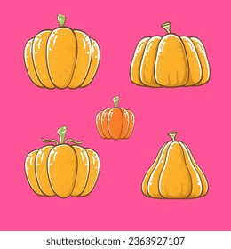 vector graphic orange pumpkins set isolated on pink background. Cartoon hand drawn pumpkins collection for autumn ,Halloween and Thanksgiving day poster and banner design
