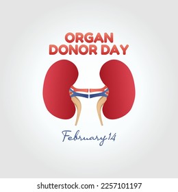 vector graphic of organ donor day good for national organ donor day celebration. flat design. flyer design.flat illustration.
