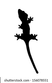 Vector graphic outline of a crested gecko.