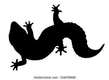 Vector graphic outline of a leopard gecko.