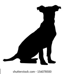 Vector graphic outline of a pitbull weimaraner puppy.