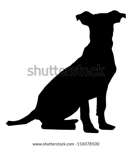 Vector graphic outline of a pitbull weimaraner puppy.