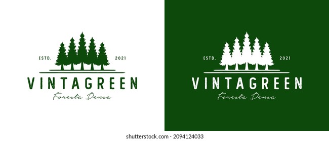 Vector graphic of pine vintage logo
