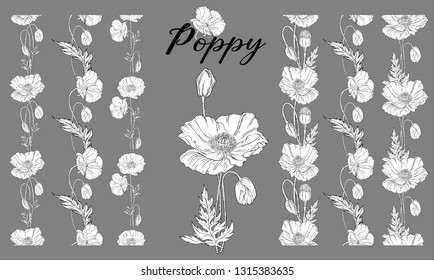 Vector graphic plant set of poppy flowers. Floral romantic ornament.