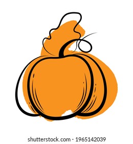 Vector graphic pumpkin with stroke. Pumpkin on Halloween day or Harvest festival. Food sketch illustration.