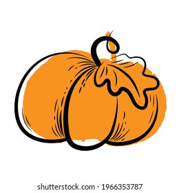 Vector graphic pumpkin with stroke. Pumpkin on Halloween day or Harvest festival. Food sketch illustration.