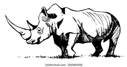 vector graphic realistic freehand drawing of beautiful african rhinoceros imitation black ink isolated on white background. useful for tattoos, illustrations, print, postcards, zoo advertising