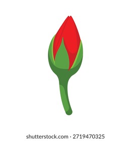 Vector gráfico de un brote de tulipán rojo sobre un fondo blanco