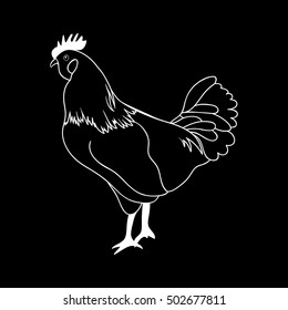 Vector graphic rooster, symbol of year 2017