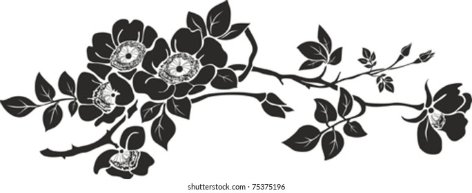 Vector graphic of Rose with leaves. Isolated on White background. Vector illustration