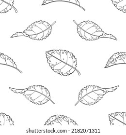 Vector graphic seamless pattern with autumn leaves on a white background
