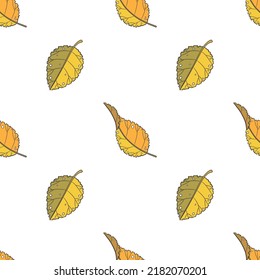 Vector graphic seamless pattern with colored autumn leaves on a white background