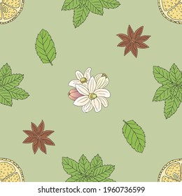 Vector graphic seamless pattern from tea collection. Background with different ingredients for a nice tea drinking