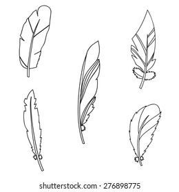 Vector graphic set with feathers