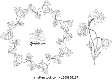 Vector graphic set of floral elements. Epilobium