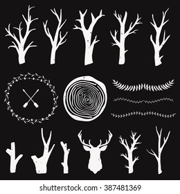 Vector graphic set with forest design elements. Branches, tree rings, leaf dividers. Tribal and boho style. Rustic design.