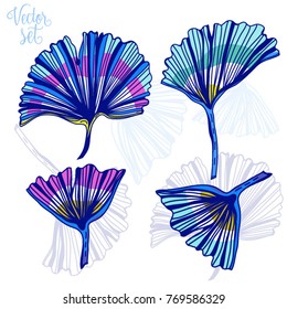 Vector graphic set of ginkgo biloba  leaves.