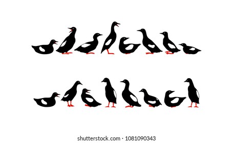 Vector graphic set of  hand drawn black guillemots. Beautiful animal design elements, border set, ink drawing.