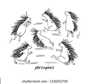 Vector graphic set of hand drawn active porcupines. Beautiful ink drawing, funny sport illustration