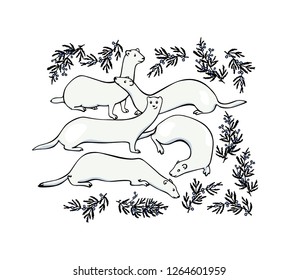 Vector graphic set of  hand drawn cute weasels in winter coats with red cedar twigs. Beautiful animal design elements, ink drawing.