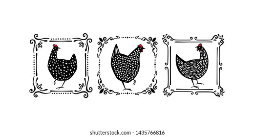 Vector graphic set of hand drawn black speckled hens in vintage frames. Beautiful ink drawing. Perfect elements for food or farming design.