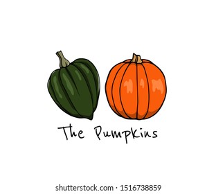 Vector graphic set of of hand drawn pumpkins. Ink drawing, vector illustration of pumpkins varieties. Beautiful food or Halloween design elements
