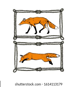 Vector graphic set of hand drawn red foxes in nautical rope frames made with ink. Perfect animal design elements, logo or branding template