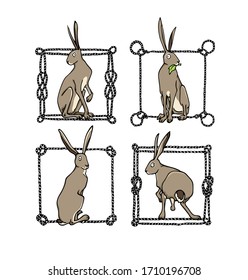 Vector graphic set of hand drawn sweet sitting hares in nautical rope frames. Perfect design elements, beautiful animal illustration, ink drawing