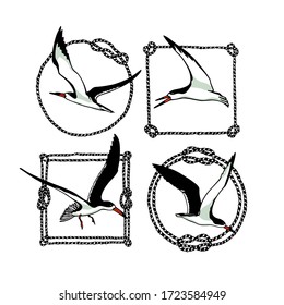 Conjunto vectorial de rayas negras dibujadas a mano en marcos de cuerda. Dibujo de tinta, hermosos elementos de diseño animal y náutico.