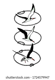 Vector graphic set of hand drawn flying black skimmers in oval rope frames. Ink drawing, beautiful animal and nautical design elements.