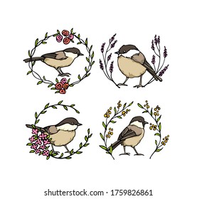 Vector graphic set with hand drawn cute Willow Tits in blooming floral wreath. Ink drawing, beautiful animal design elements. Logo template
