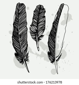 Vector graphic set of hand drawn feathers.