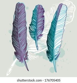 Vector graphic set of hand drawn feathers. 