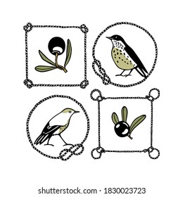 Vector graphic set with hand drawn sweet birds and olive twigs in vintage rope frames made with ink. Beautiful illustration, perfect design elements.